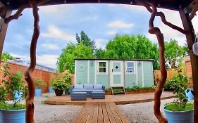 Alices Garden Two